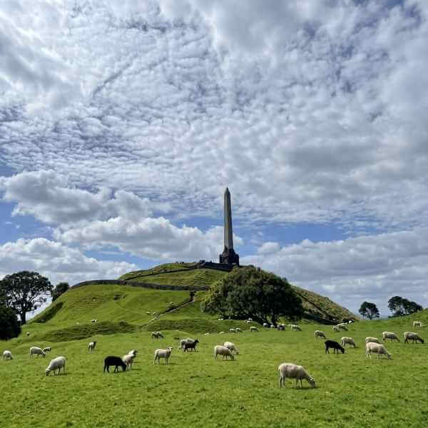 Greenlane
