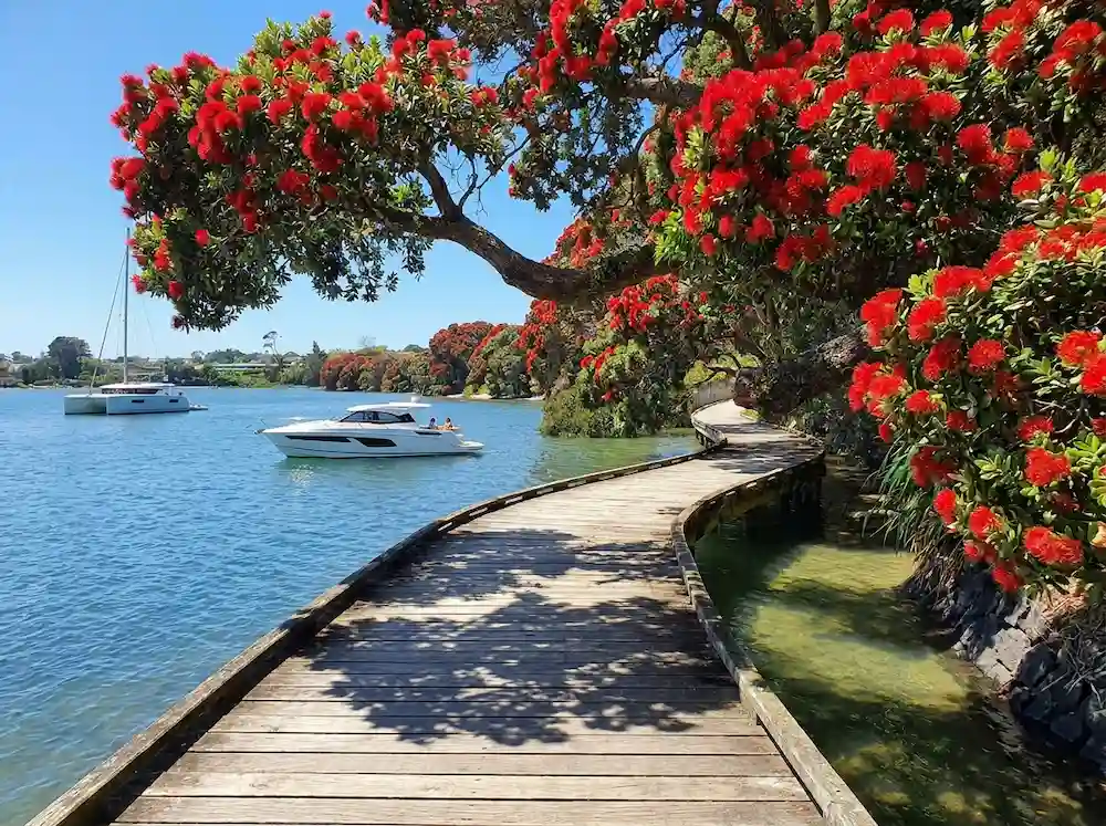 Pakuranga