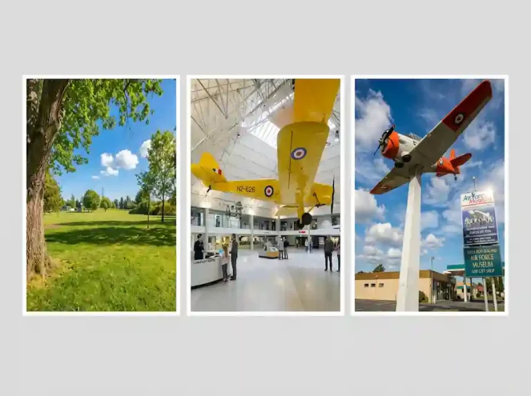 Sockburn Family Guide: Schools, Services & Things to Do in Christchurch